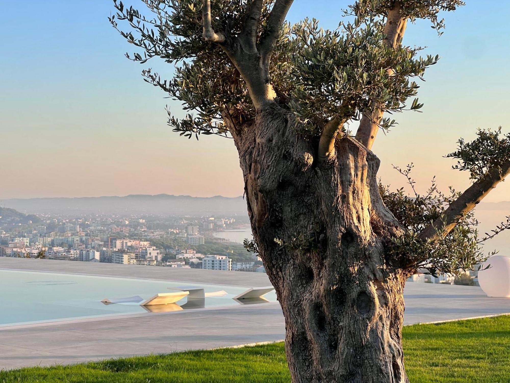 Villa Esmi Durres Kryemedhej Ngoại thất bức ảnh